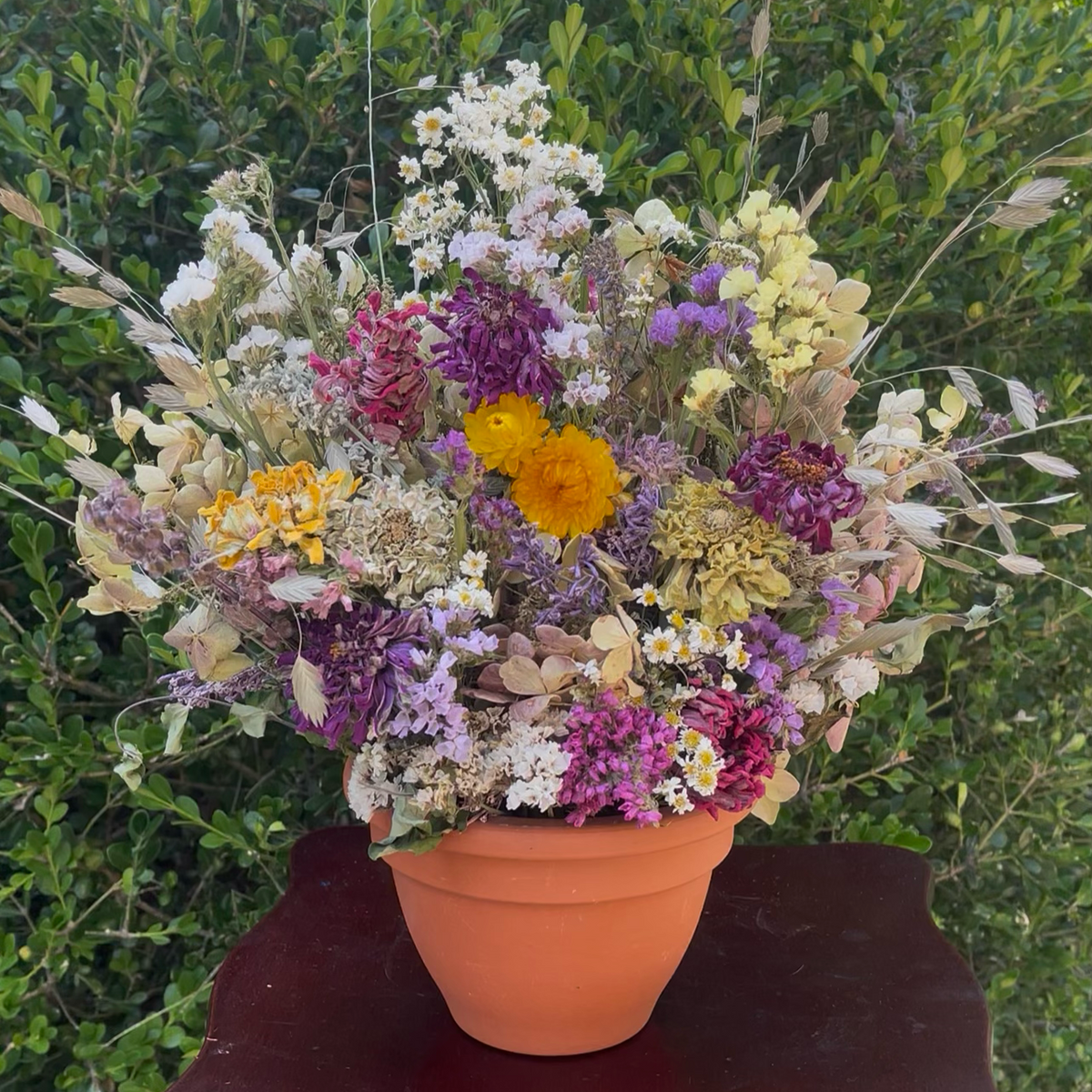 Sunshine Terracotta Dried Arrangement
