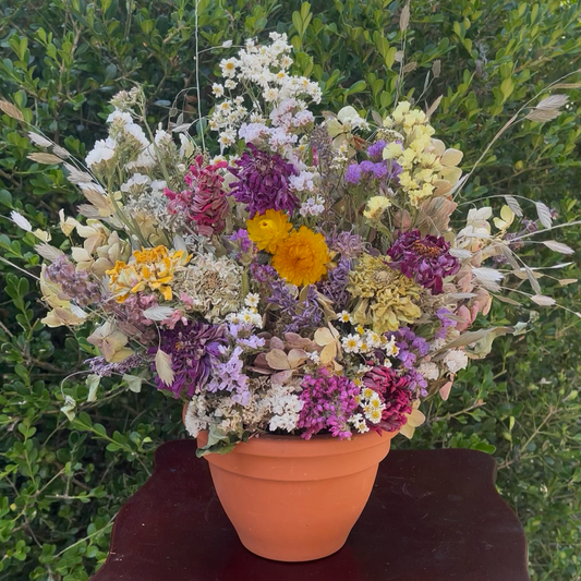 Sunshine Terracotta Dried Arrangement
