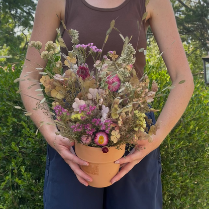 Wispy Terracotta Planter Arrangement