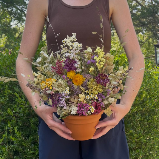 Sunshine Terracotta Dried Arrangement